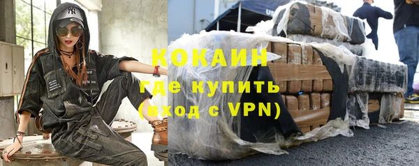 стафф Алексин