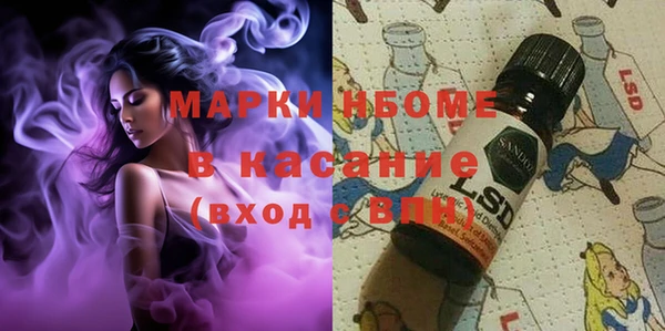 стафф Алексин