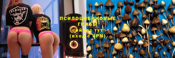 МДПВ Абдулино