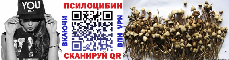 Галлюциногенные грибы ЛСД  купить наркоту  Западная Двина 